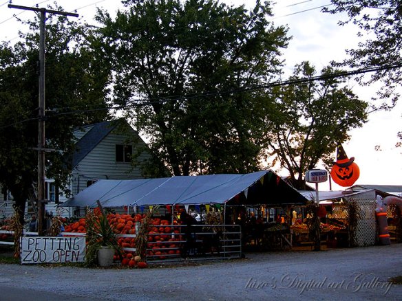 Fruit stand in Griffith Indiana2